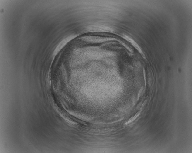 X0000067870885200604271733