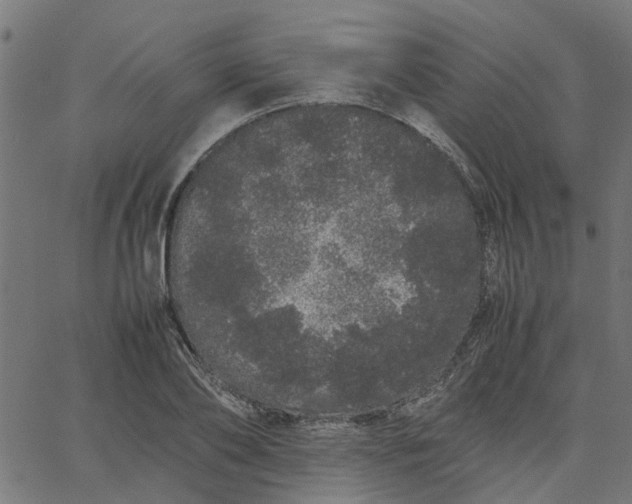 X0000067870886200604271733