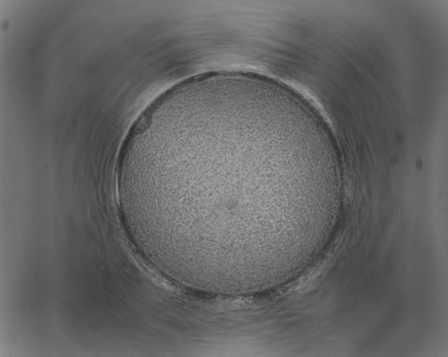 X0000067870887200604271733