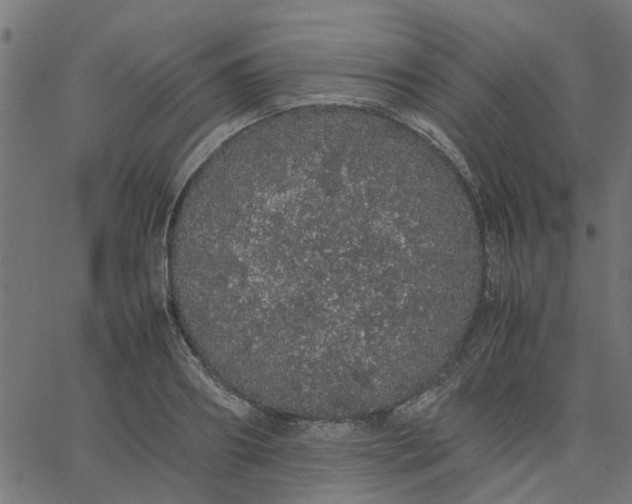 X0000067870890200604271733