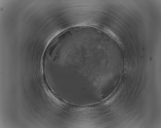 X0000067870892200604271733