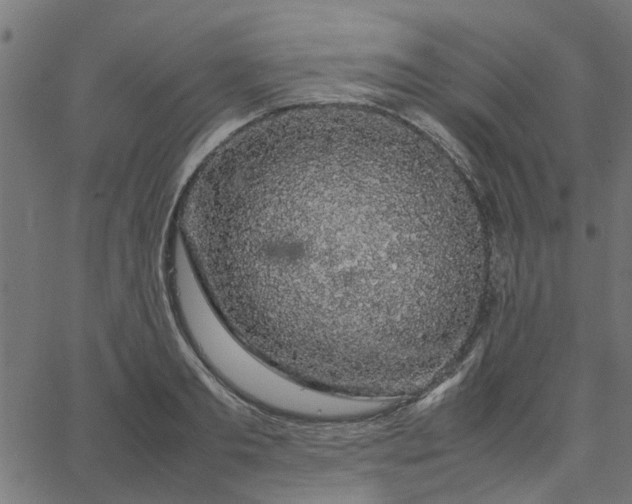 X0000067870893200604271733