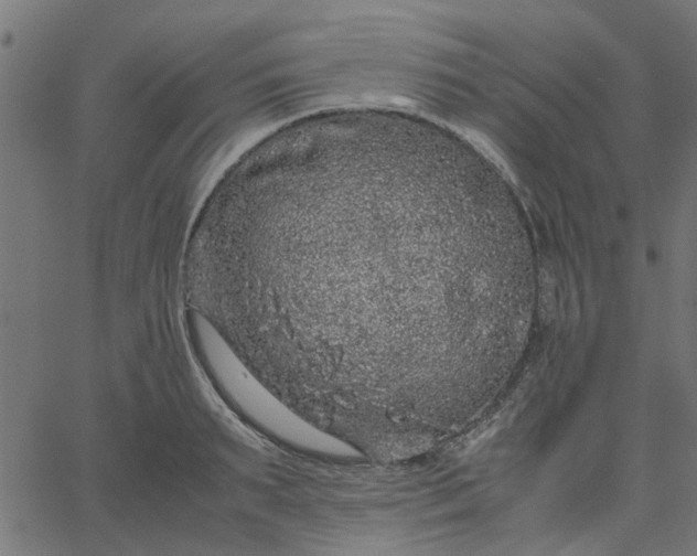 X0000067870895200604271733