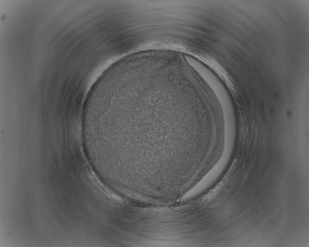 X0000067870896200604271733