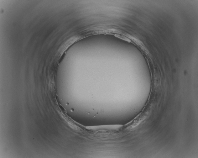 X0000067870897200604271733