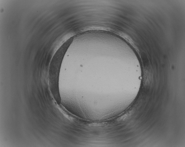 X0000067870898200604271733