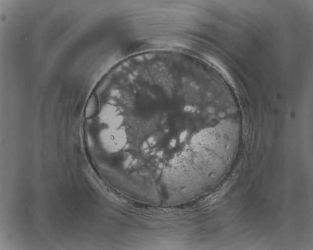 X0000067870899200604271733