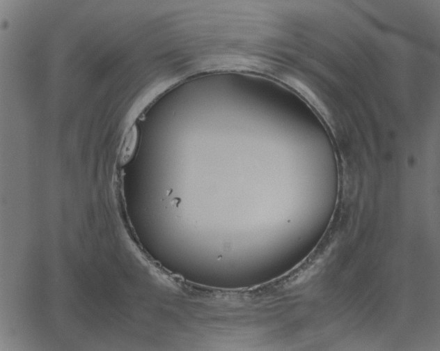 X0000067870901200604271733