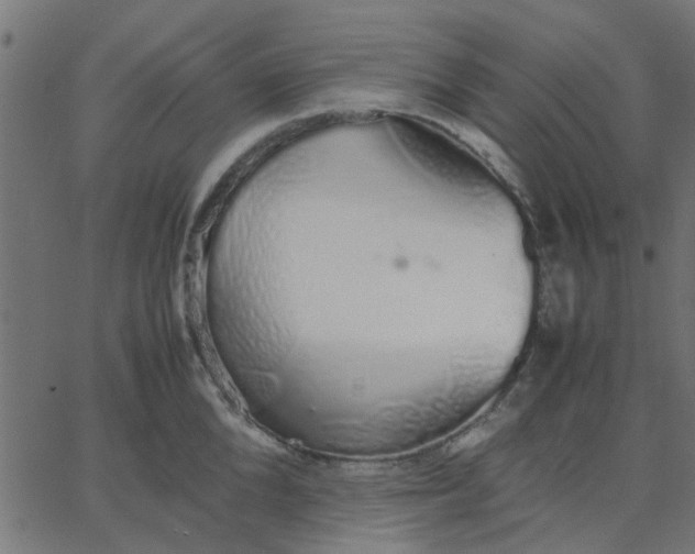 X0000067870904200604271732