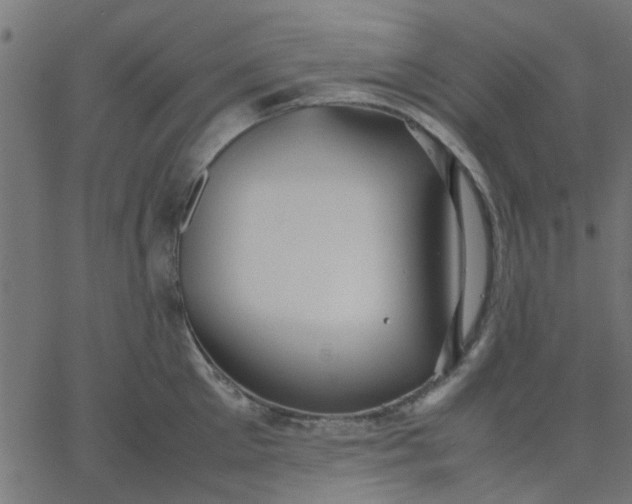 X0000067870905200604271732