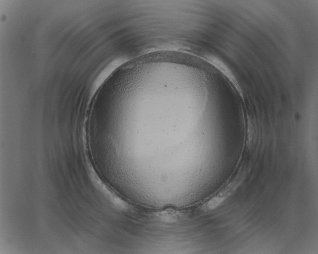 X0000067870906200604271732