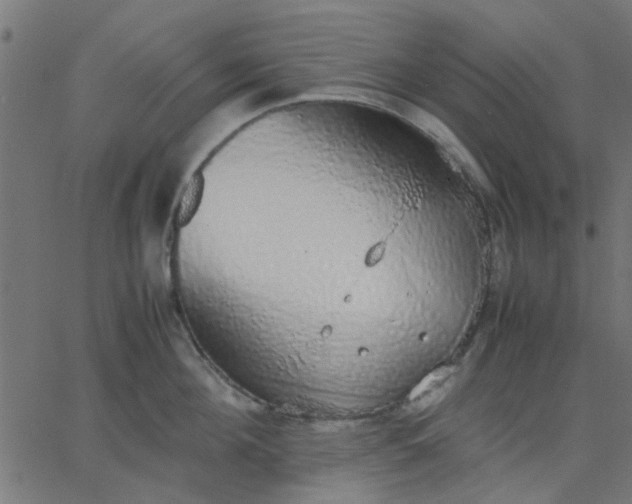 X0000067870908200604271732