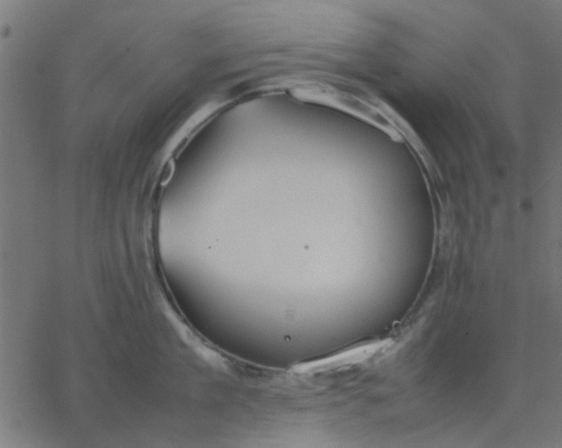 X0000067870909200604271732