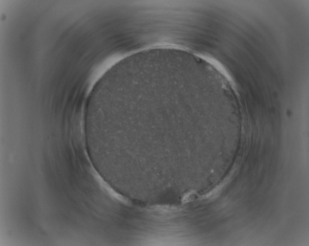 X0000067870910200604271732