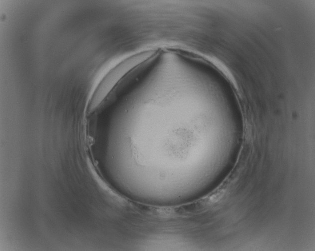 X0000067870911200604271732