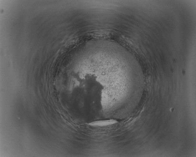 X0000067870913200604271732