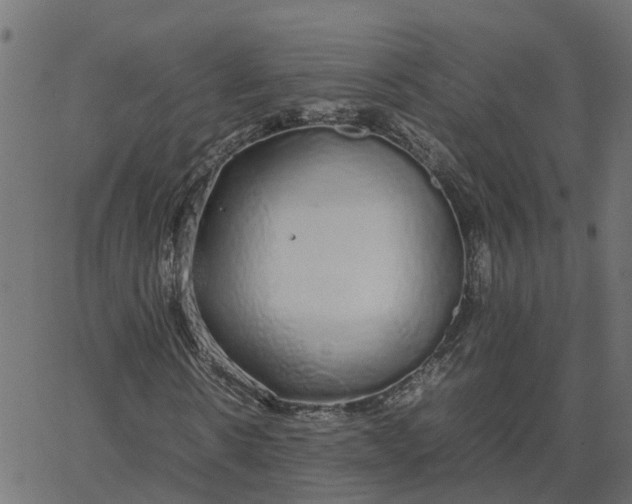 X0000067870914200604271732