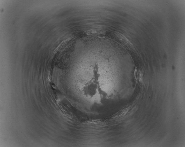 X0000067870915200604271732