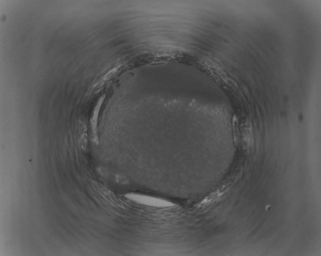 X0000067870916200604271732