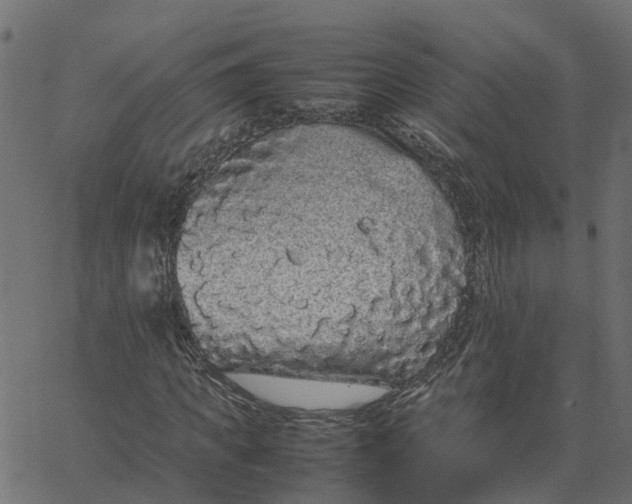 X0000067870917200604271732