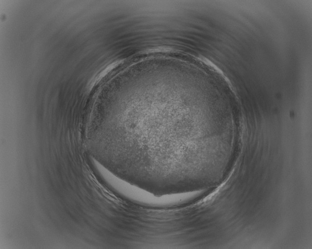 X0000067870921200604271732