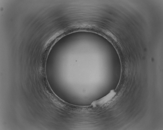 X0000067870922200604271732