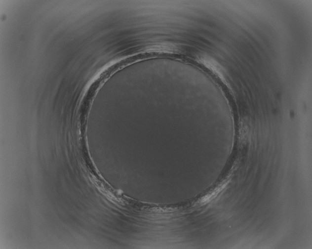 X0000067870923200604271732