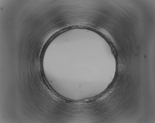 X0000067870924200604271732