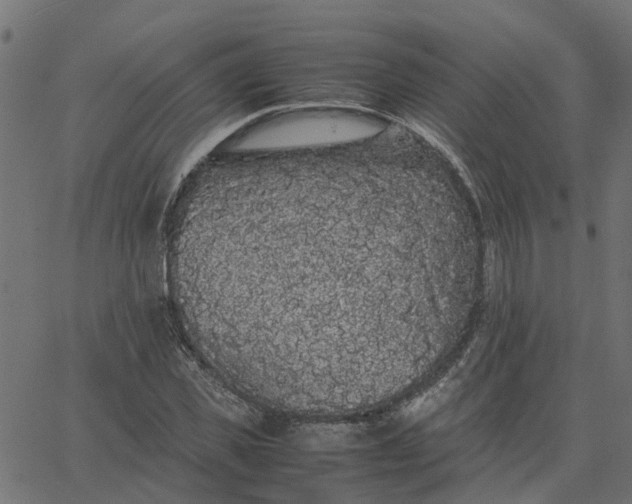 X0000067870925200604271732