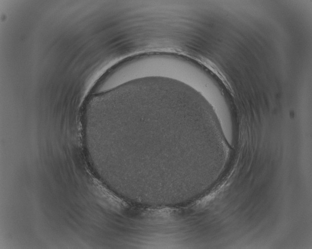 X0000067870926200604271732