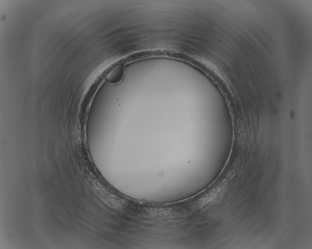 X0000067870927200604271732