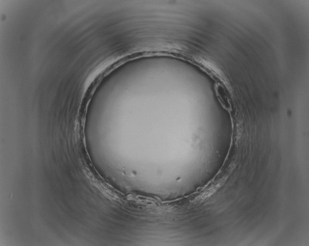 X0000067870928200604271732