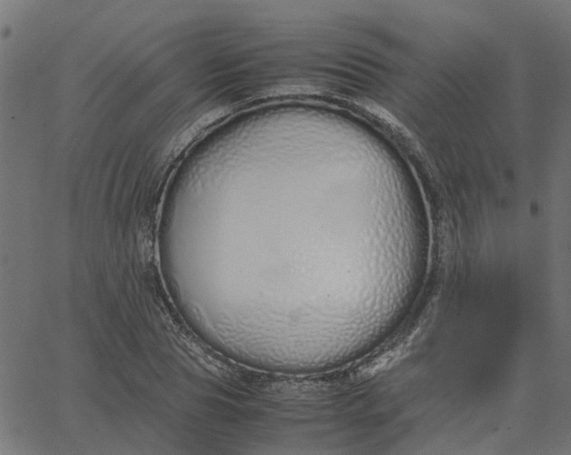 X0000067870929200604271732