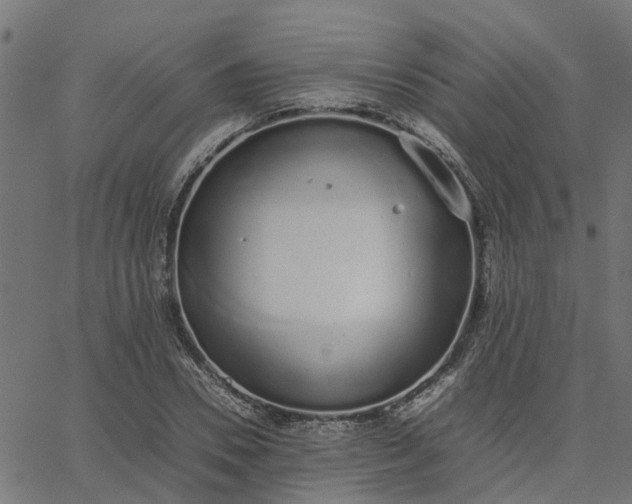 X0000067870930200604271732