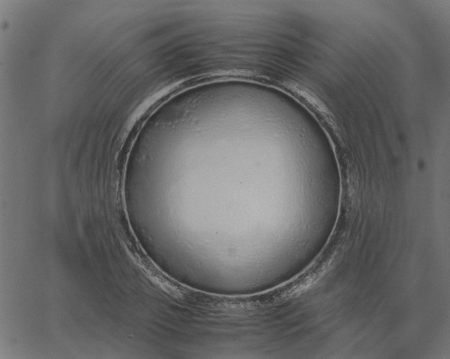 X0000067870933200604271732