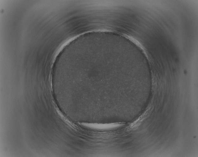 X0000067870935200604271732