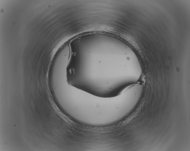 X0000067870936200604271732