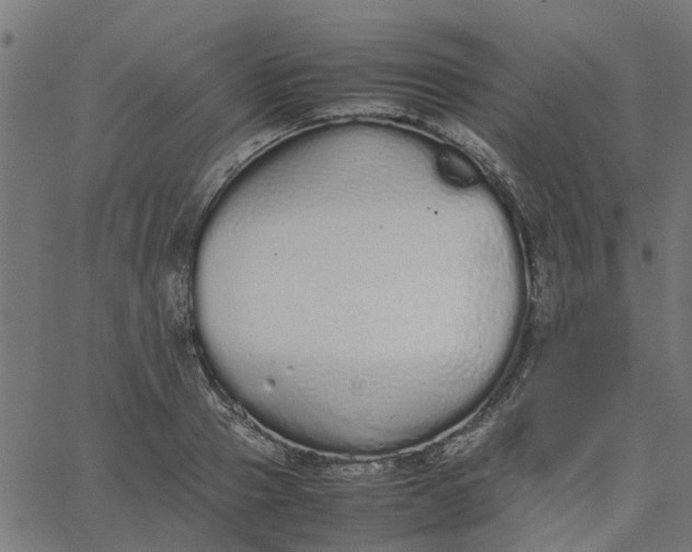 X0000067870937200604271732