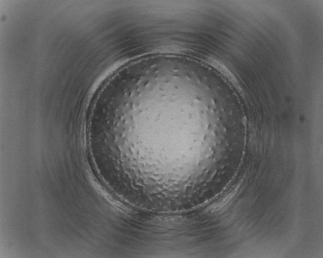 X0000067870939200604271732