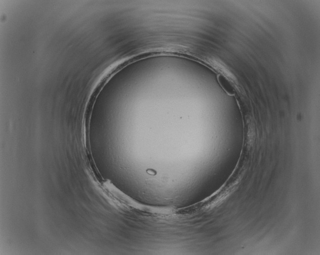 X0000067870940200604271732