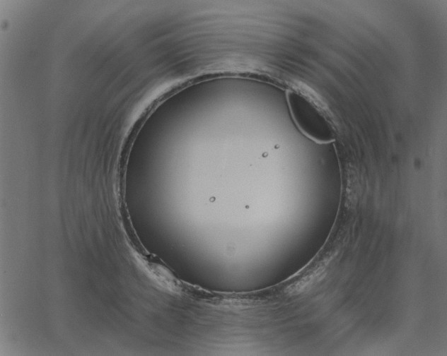 X0000067870942200604271732