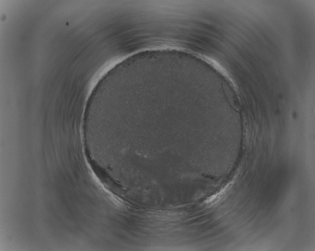 X0000067870943200604271732