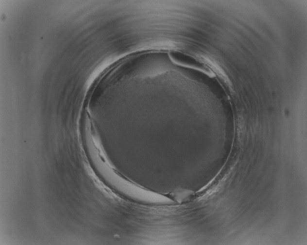 X0000067870944200604271732