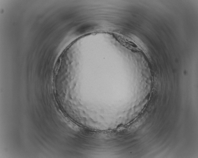 X0000067870948200604271732