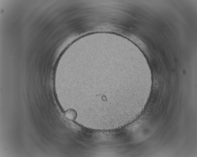 X0000067870950200604271732