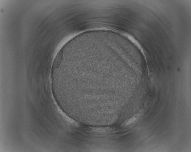 X0000067870951200604271732