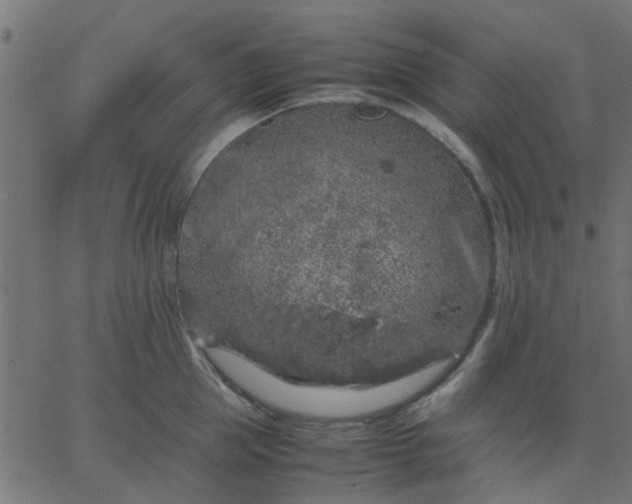 X0000067870953200604271732