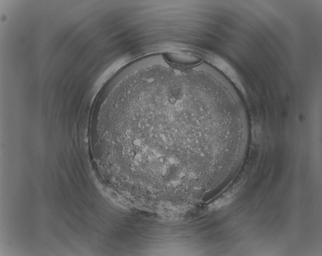 X0000067870954200604271732