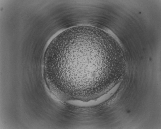 X0000067870955200604271732