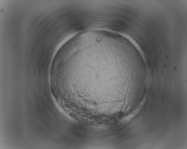 X0000067870957200604271732